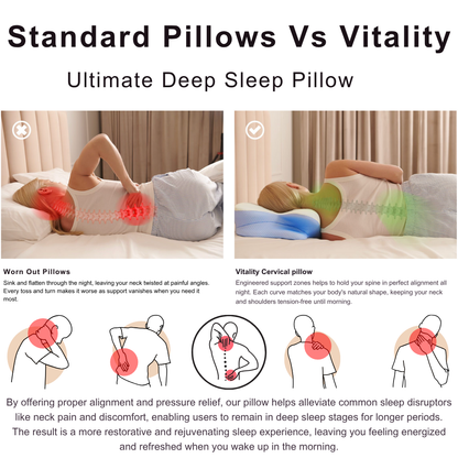 Cervical & Migraine Pillow